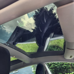 Tesla Model 3 EVglass