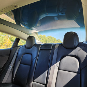 Tesla Model 3 EVglass