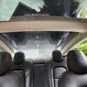 Tesla Model 3 EVglass